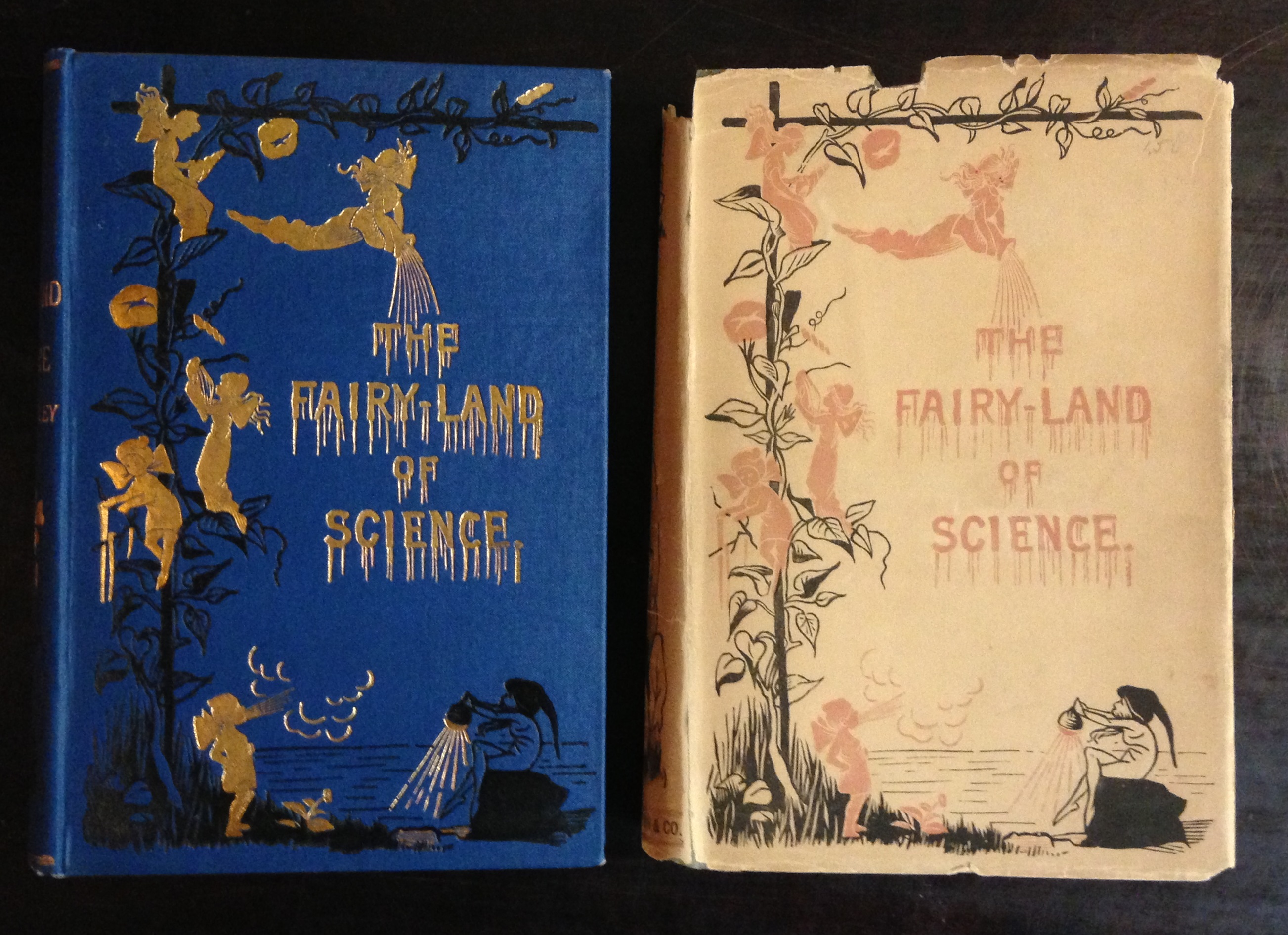 The dust jacket on Arabella Buckley's The Fairy-Land of Science (New York: D. Appleton, 1881) is a very early example of a design which closely replicates in print the elaborate publisher's cloth binding, here stamped in gilt and black ink.