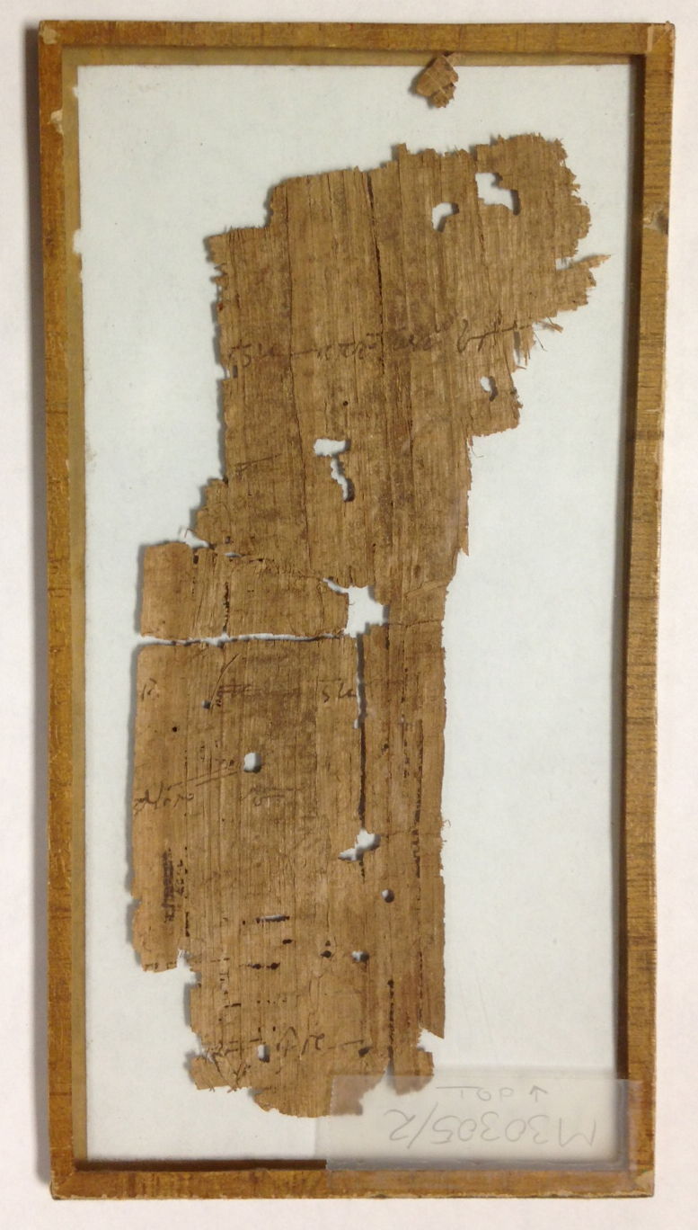 The verso of P. Virginia 1 clearly shows the vertical papyrus strips which form the document's secondary layer. Additional lines of Greek text--perhaps docketing, or unrelated manuscript notes--are also visible.
