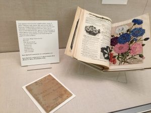 Shown here is a packet of seeds that Spencer wrote notes on and a copy of Dreer's Garden Book with an unpublished poem